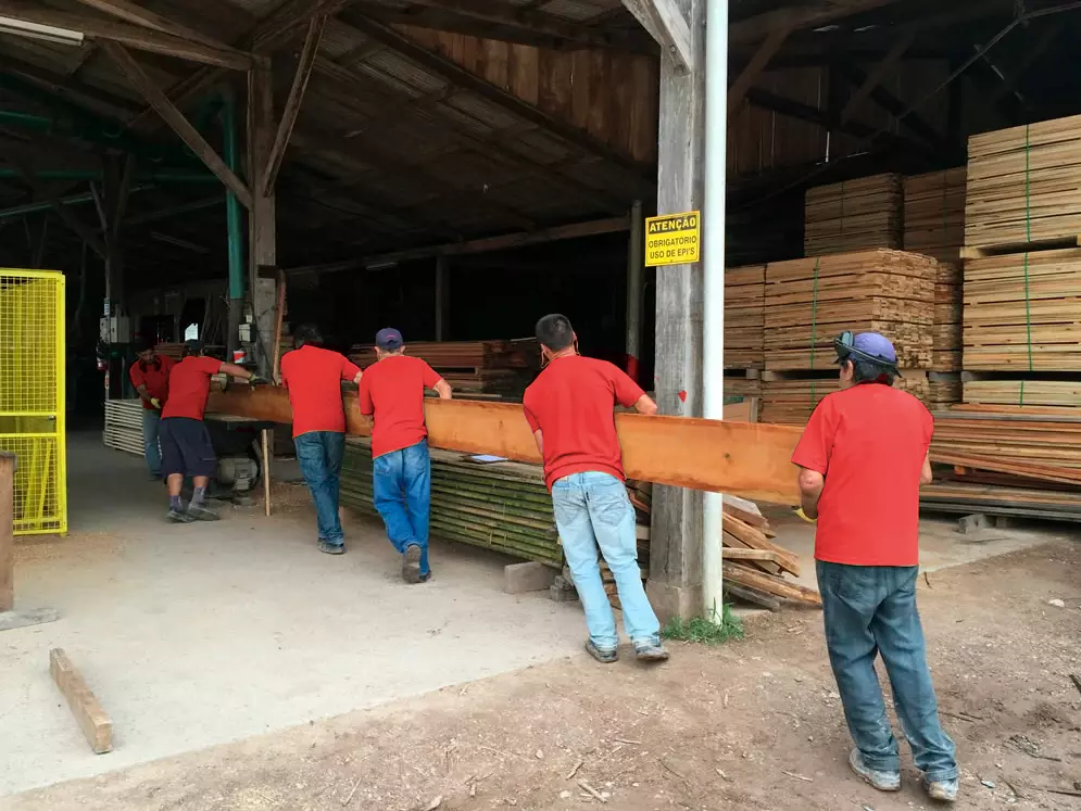 Início do comércio de madeiras do norte como cambará e itaúba.